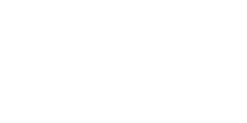 Centrifugal Clutch